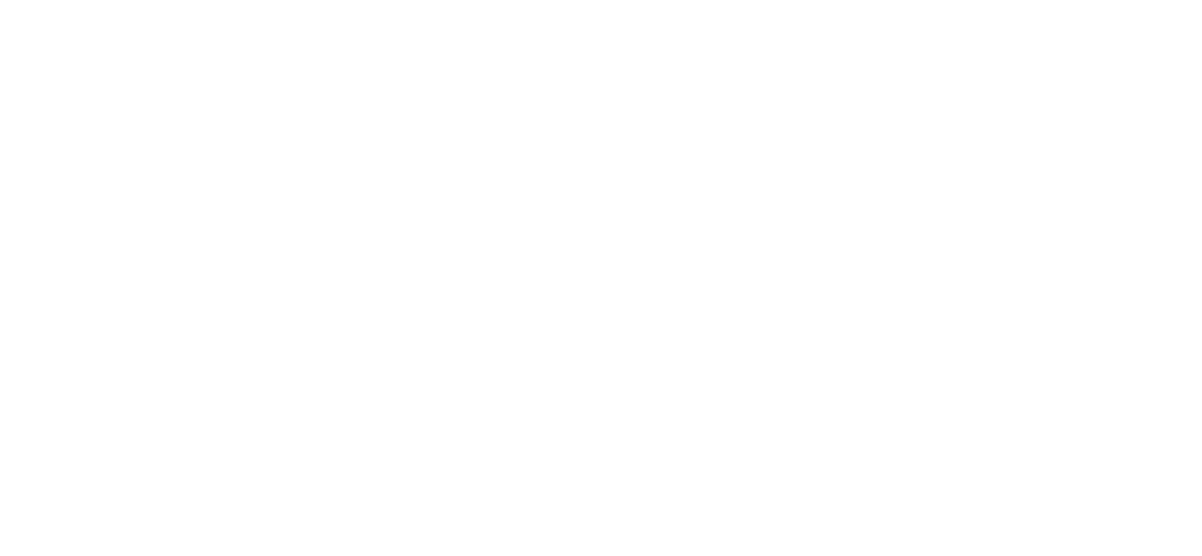 A white version of Volttrader's Logo