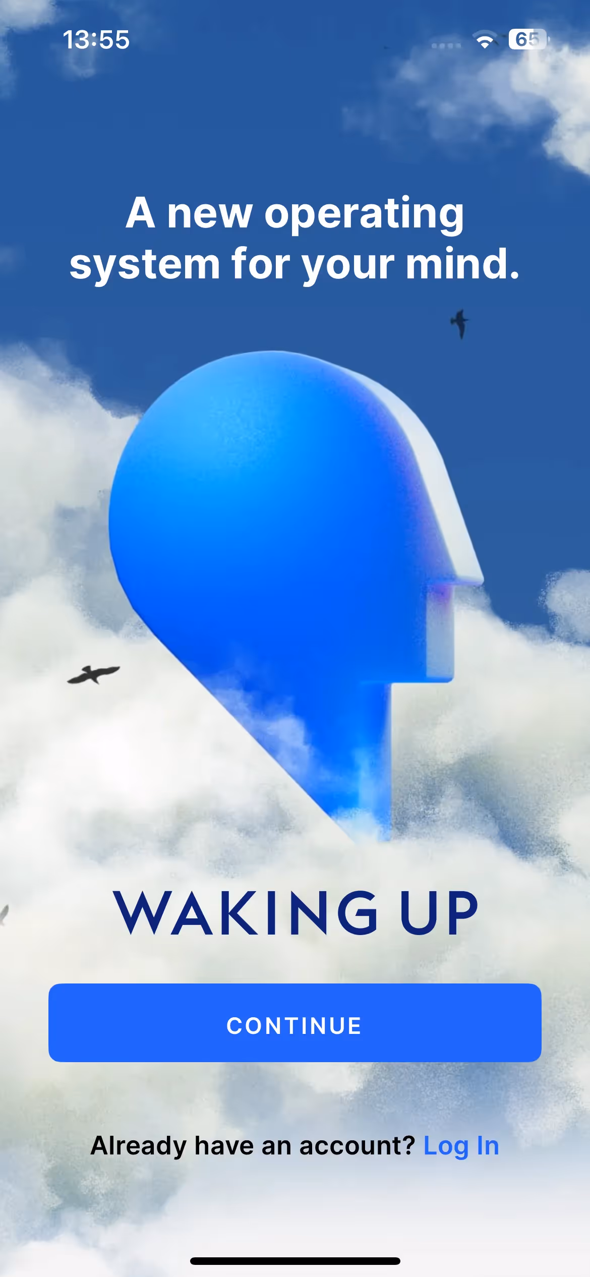 Waking Up: Meditation & Wisdom