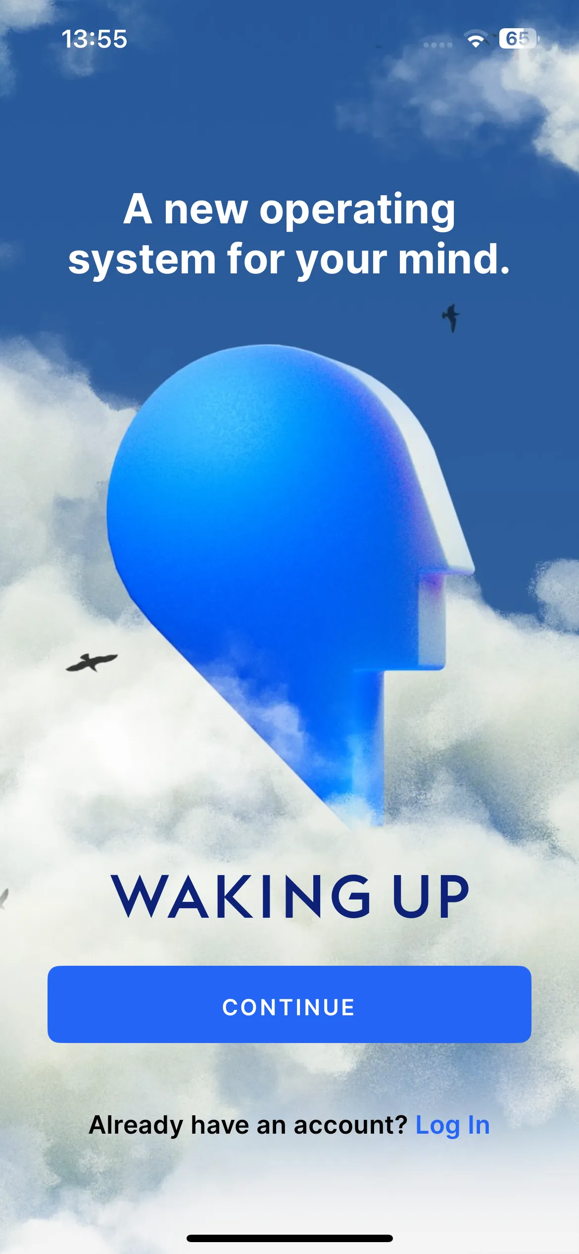 Waking Up: Meditation & Wisdom