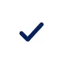 check icon