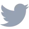 social icon