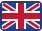 flag icon