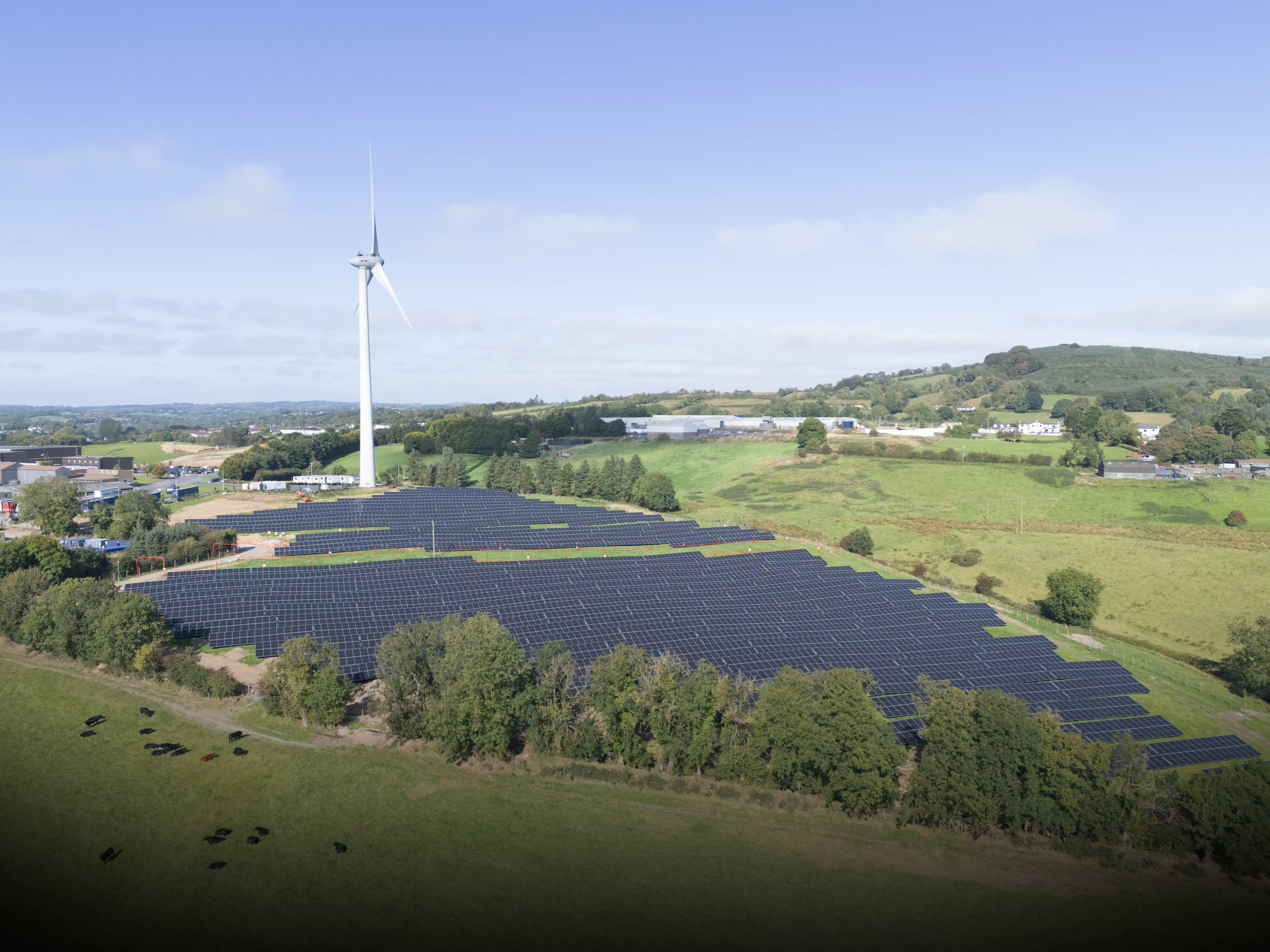 Solar farm at Liffey Meats facility with wind turbine and countryside landscape