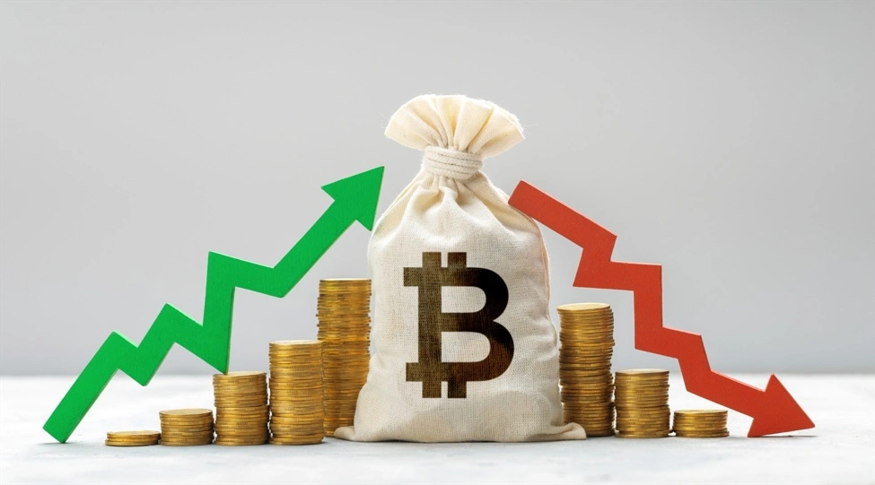 Bitcoin bag