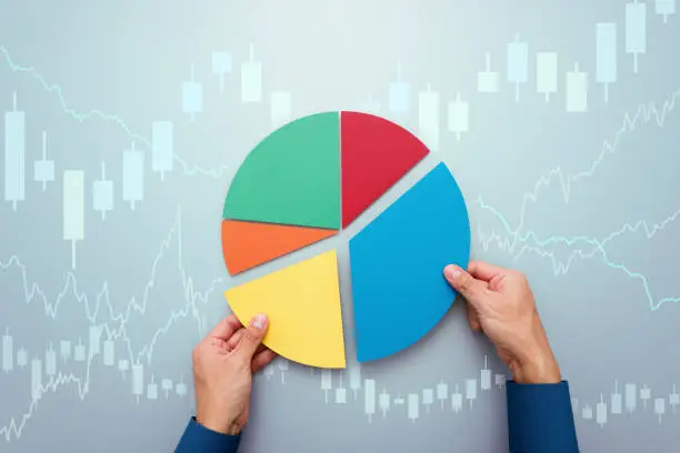 Wealth Management Pie Chart - daraltharwa.com
