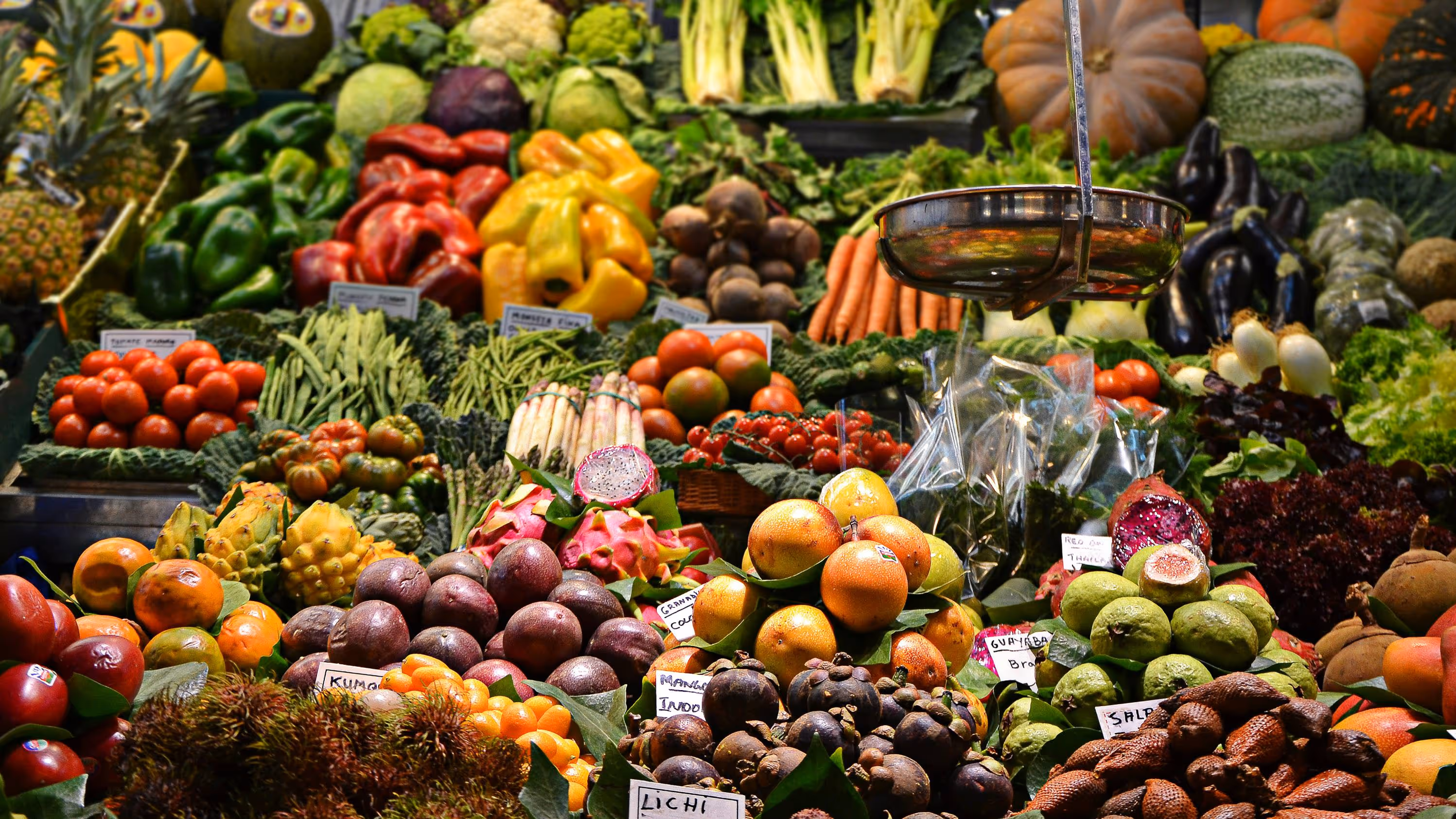 Dieta alkaliczna 