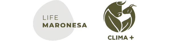 Life Maronesa