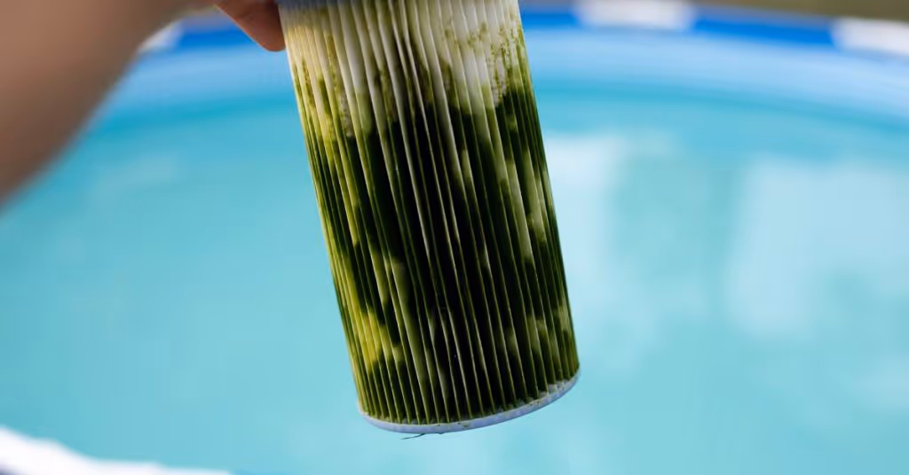 A hand holding a dirty water filter at close range with green stains from algae and dirt with a pool in the background.