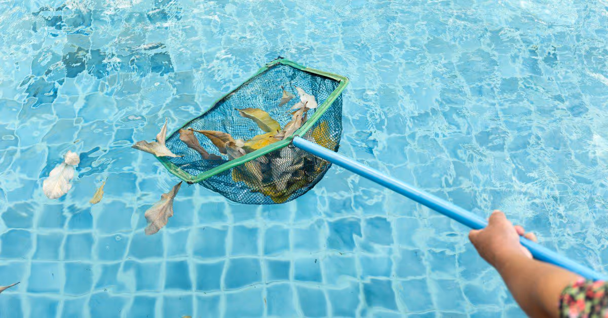 Close-up of someone using a pool net to scoop leaves from a swimming pool. Some leaves are still in the pool.