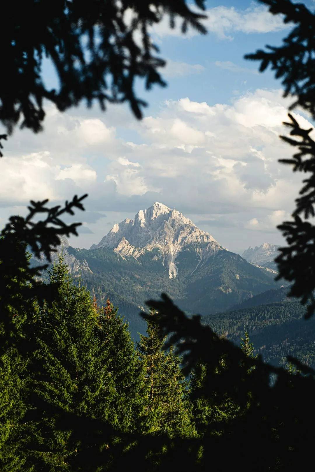 A mountain seen through forest trees