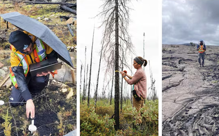 A collage showing a man working in the rain in a burned forest, a woman measuring a tree, and a man walking on a lava field wearing a backpack.