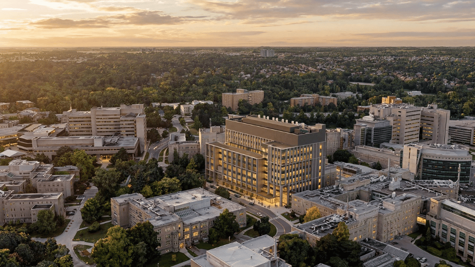 An aerial view of Westerns campus
