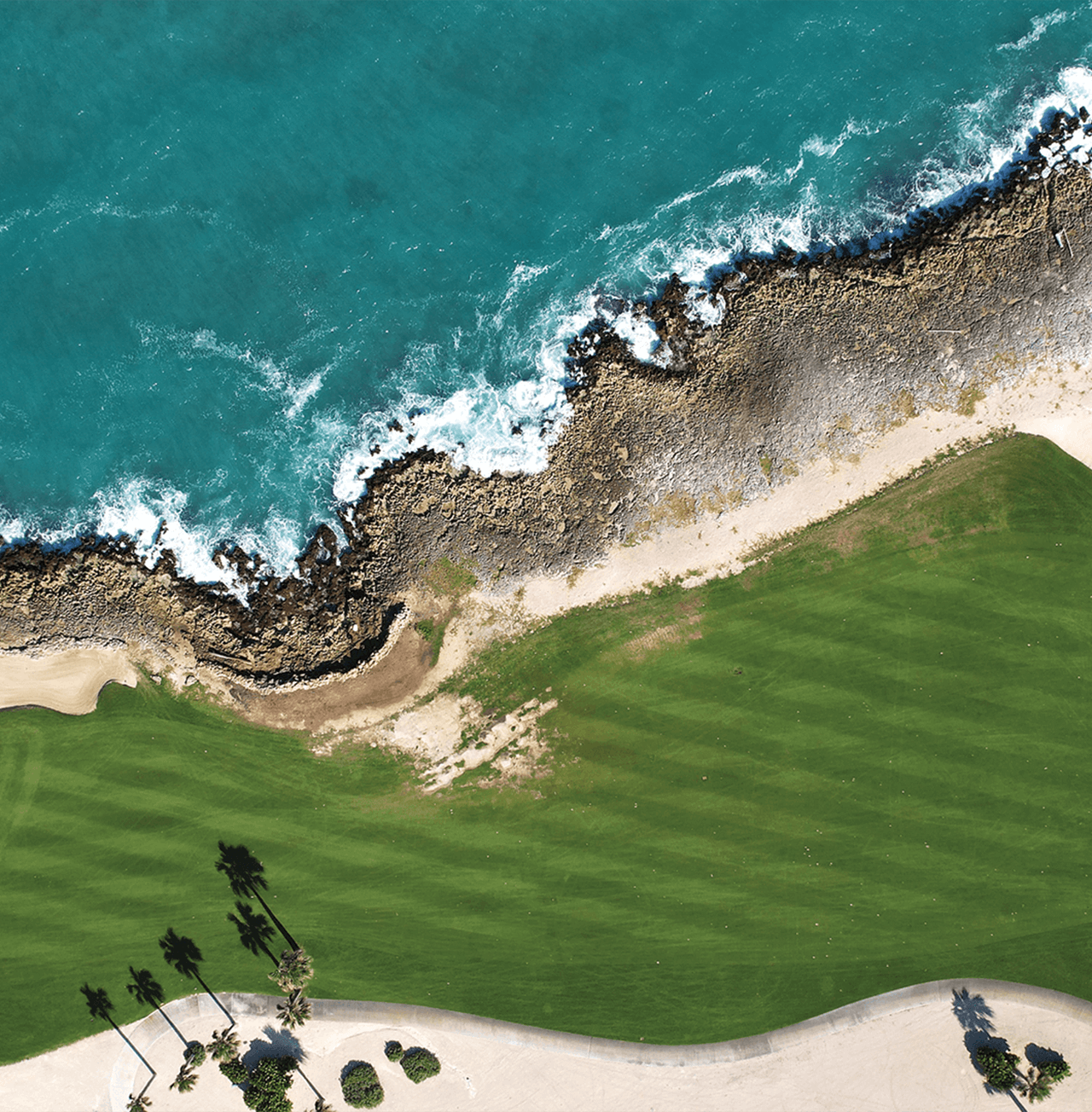 Playa palmeras tropicales