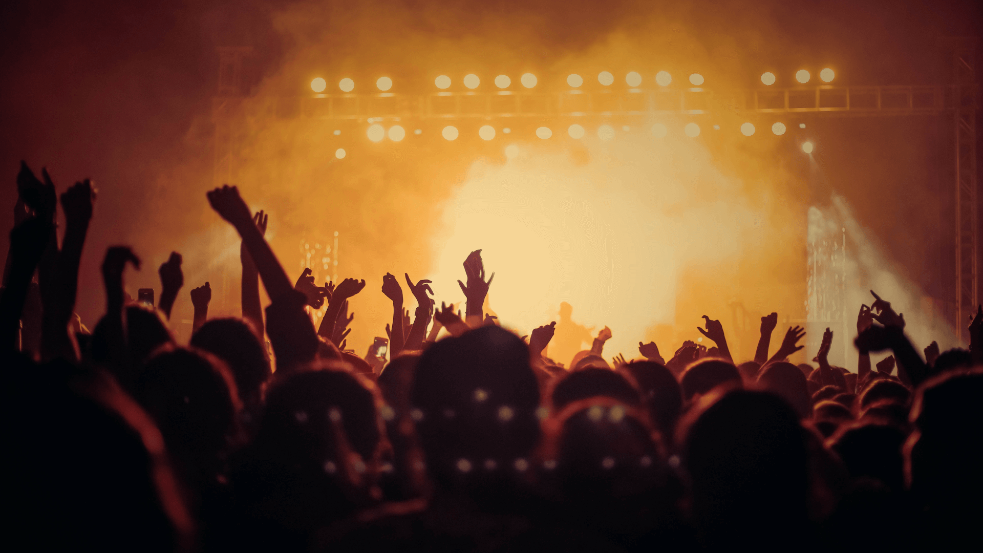 Festival fiesta noche