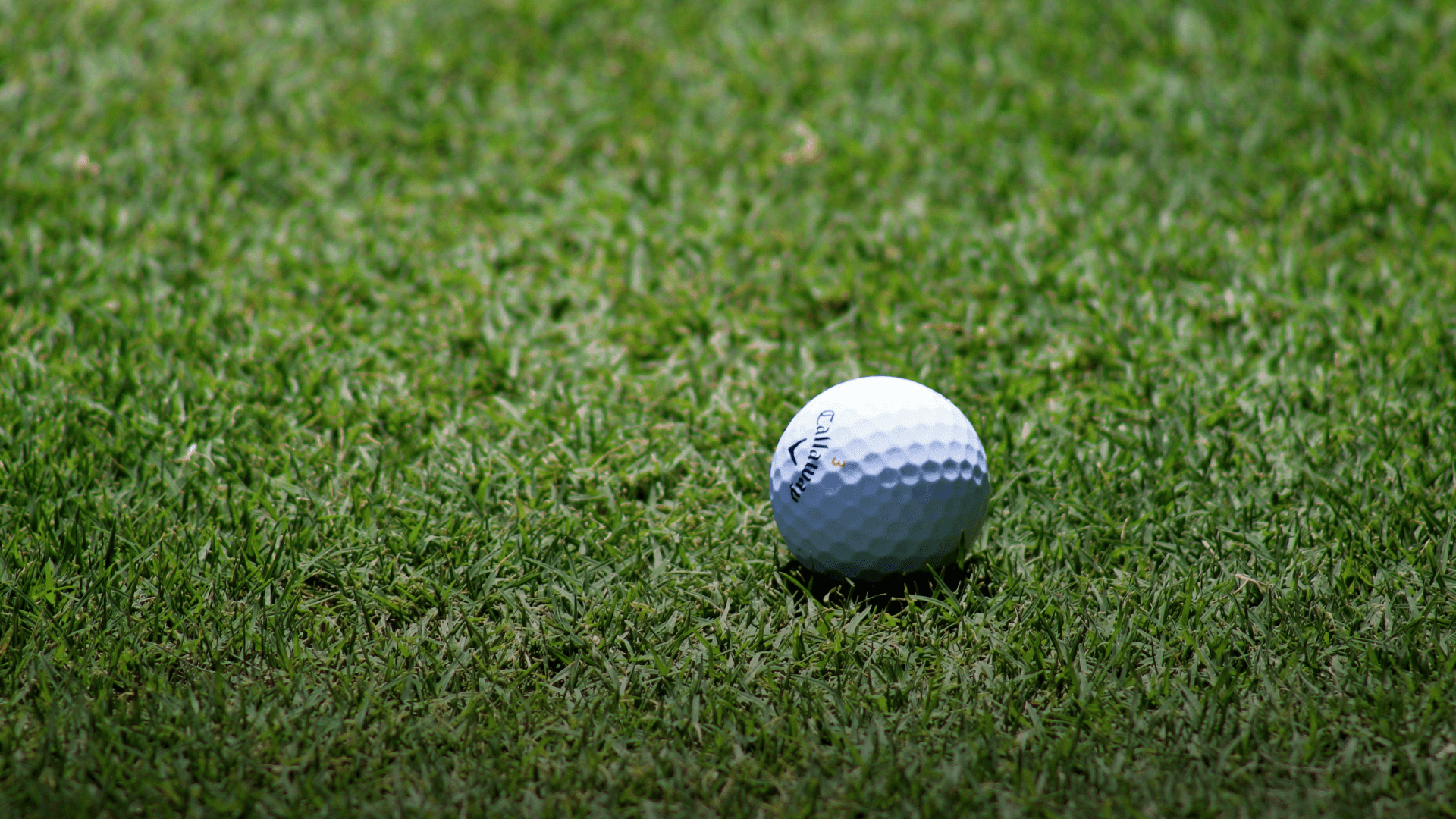 Resort golf actividad deportiva