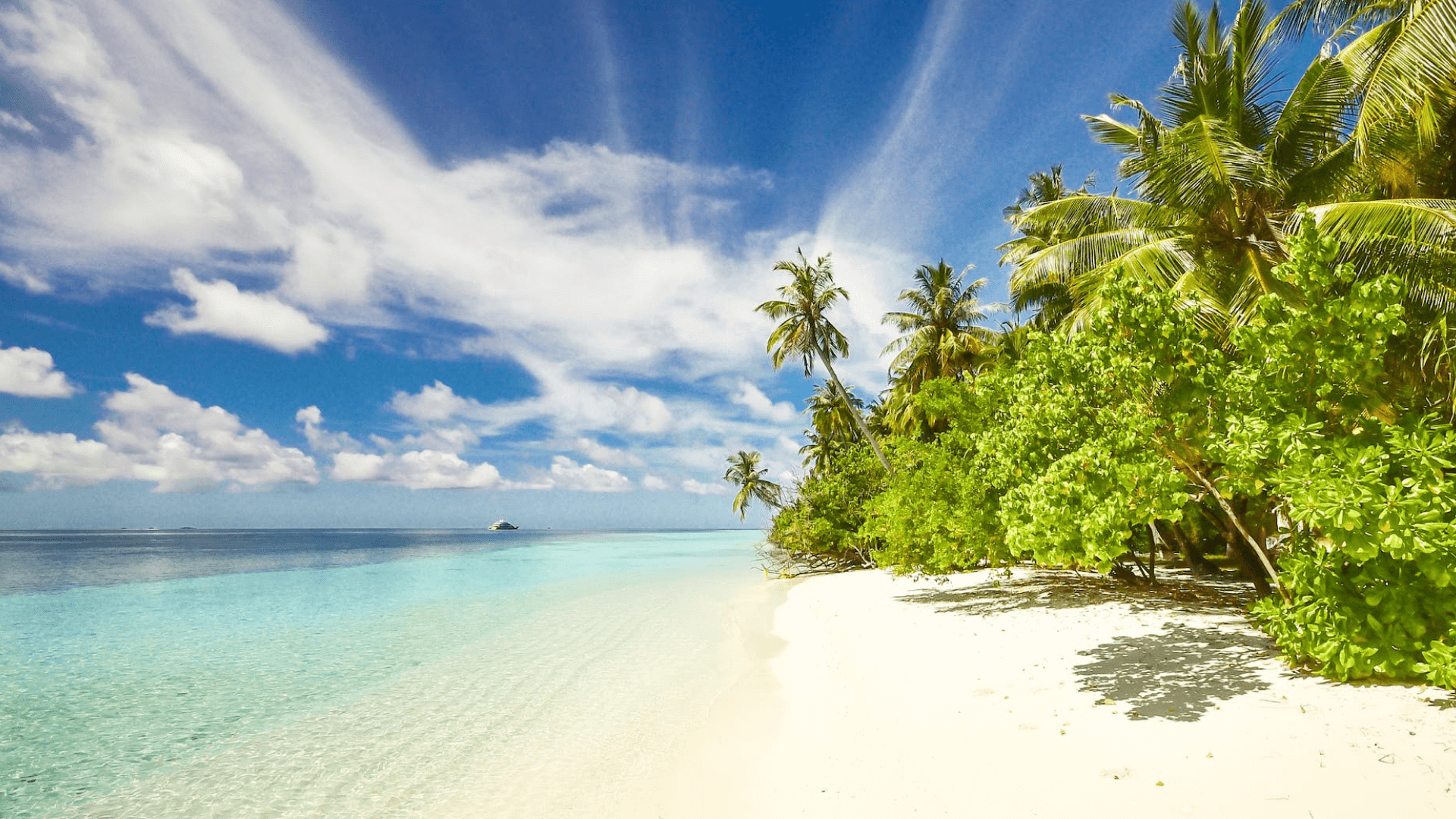 Orilla mar cristalino