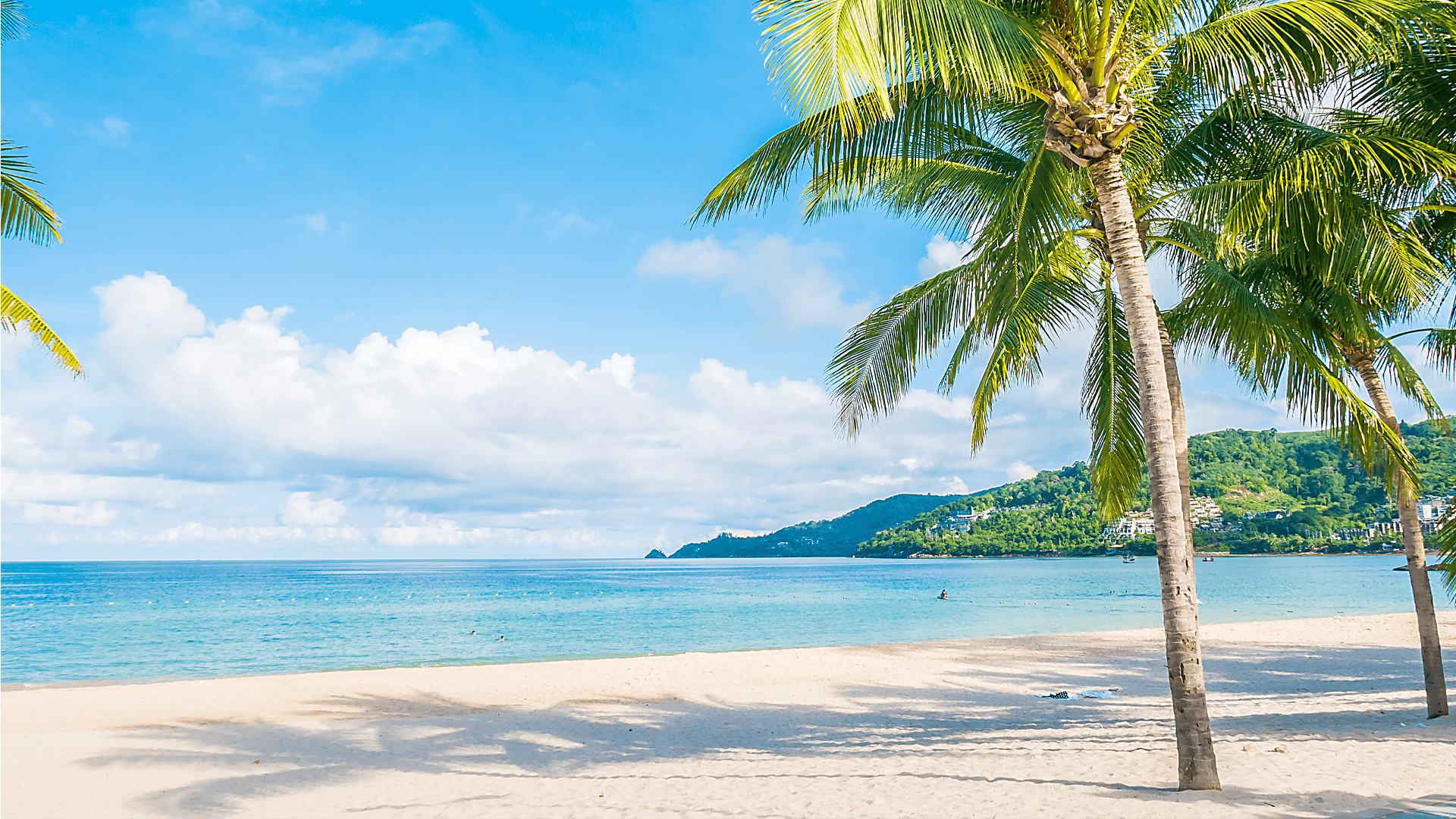 Playa cielo despejado