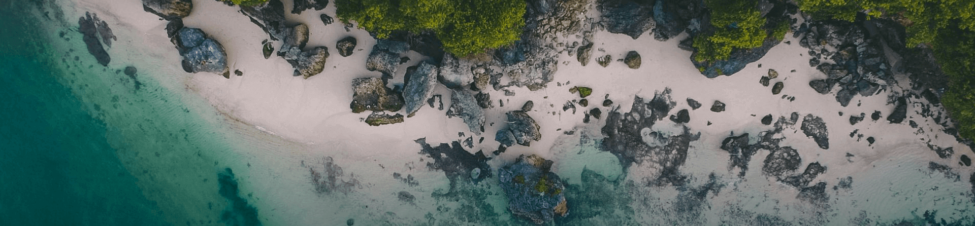 Costa paisaje tropical