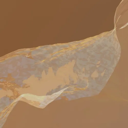 License Image