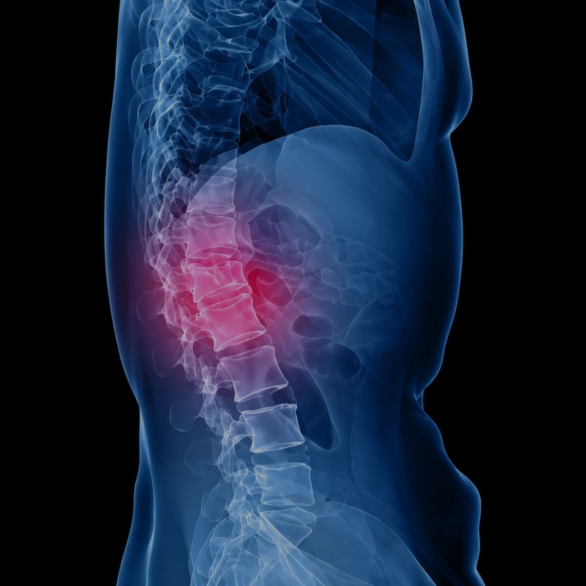 MIDWEST VASCULAR & PAIN SPECIALIST 