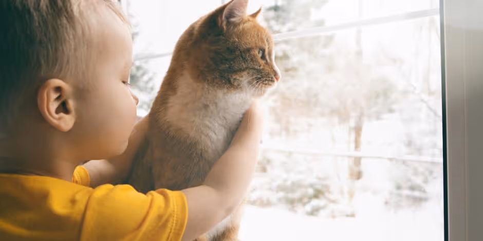 child with cat looking out window at winter weather