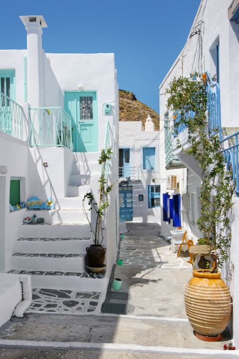 Project Gallery Image