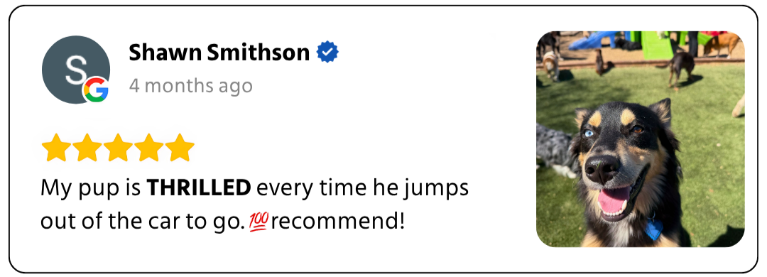 Customer review 1
