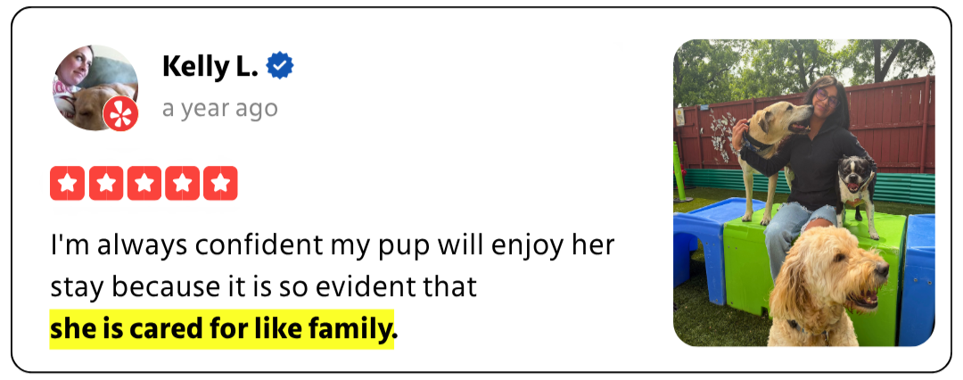 Customer review 5