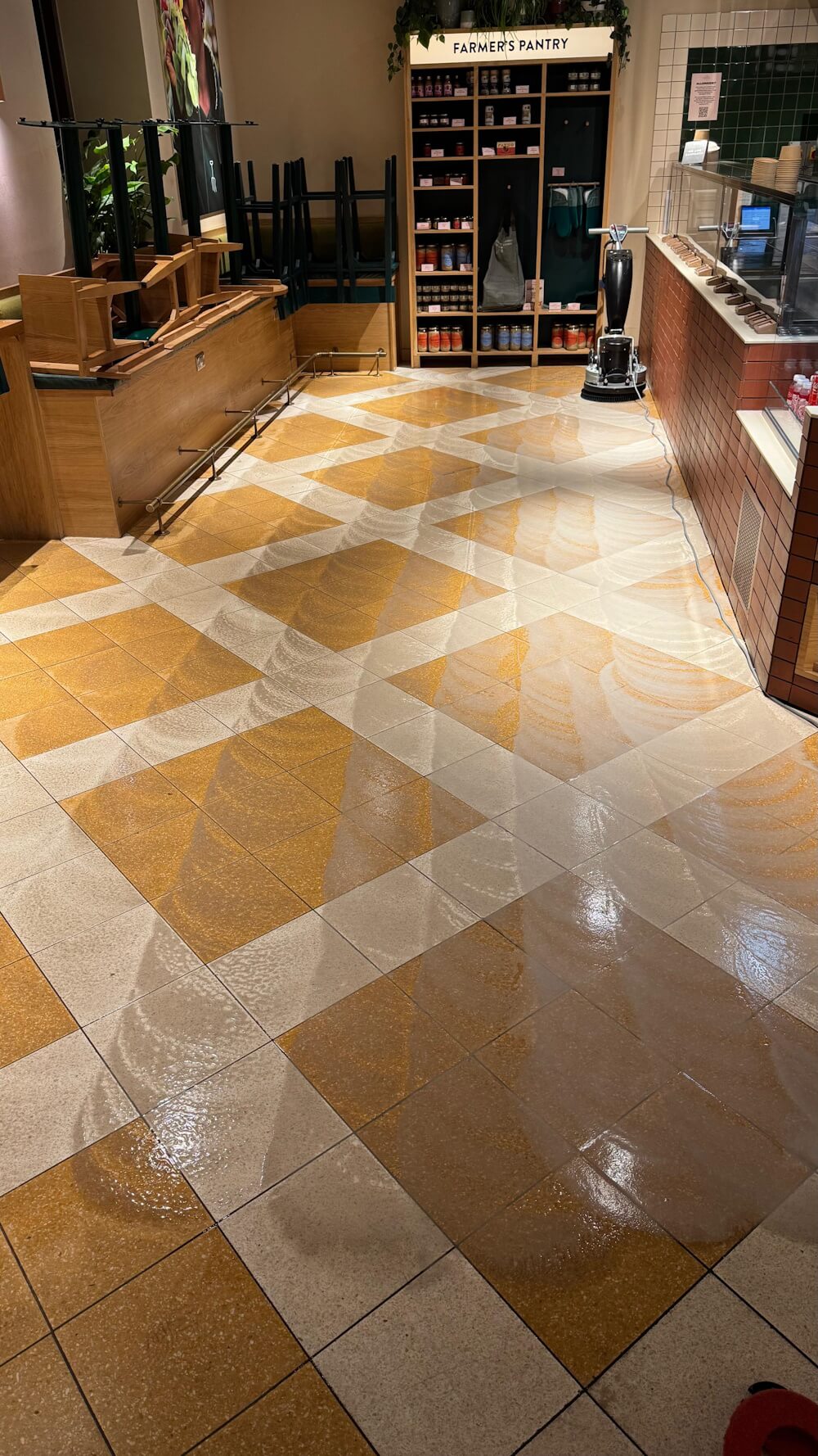 clean amtico professional