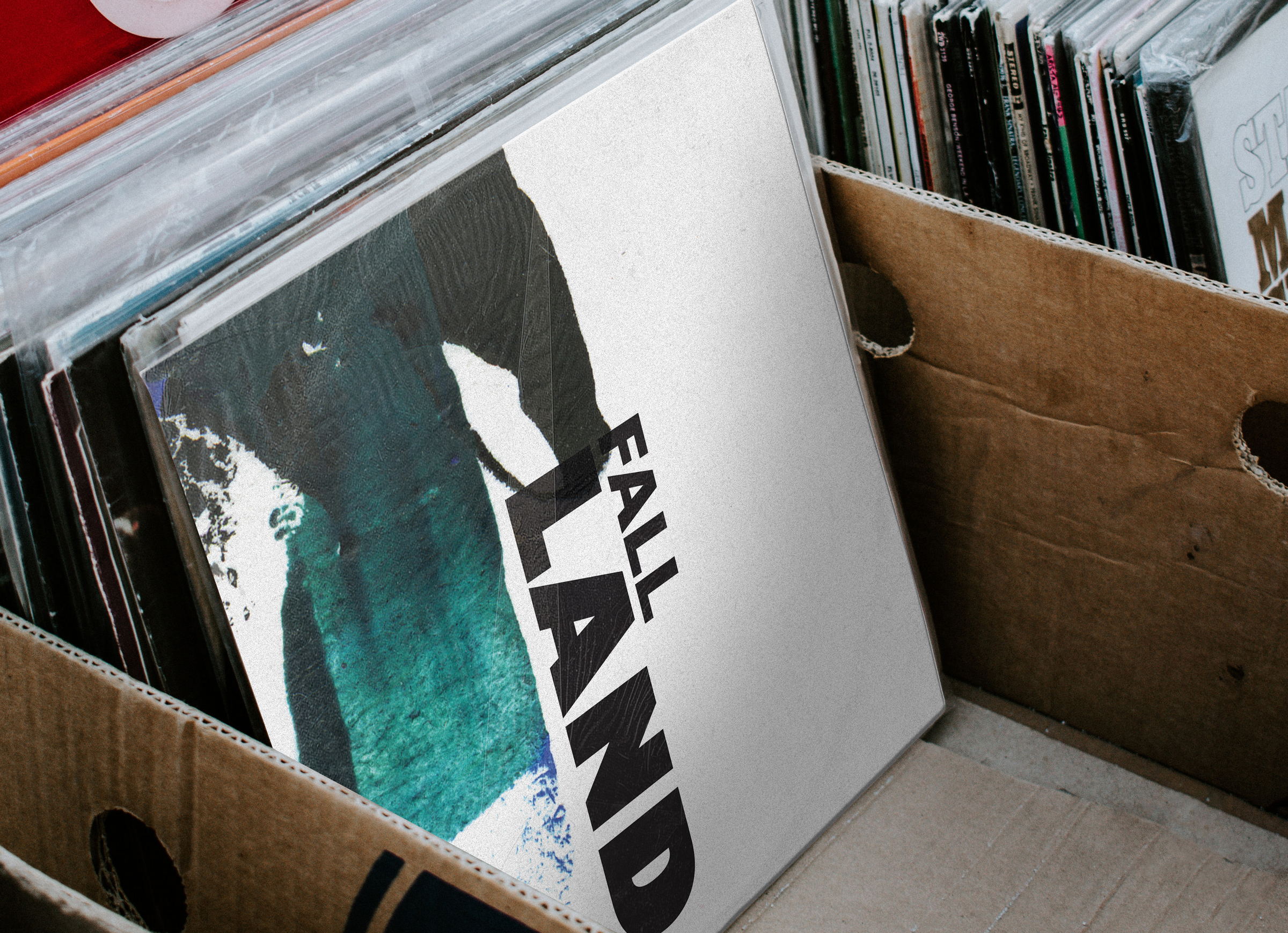 Shelf Landfall