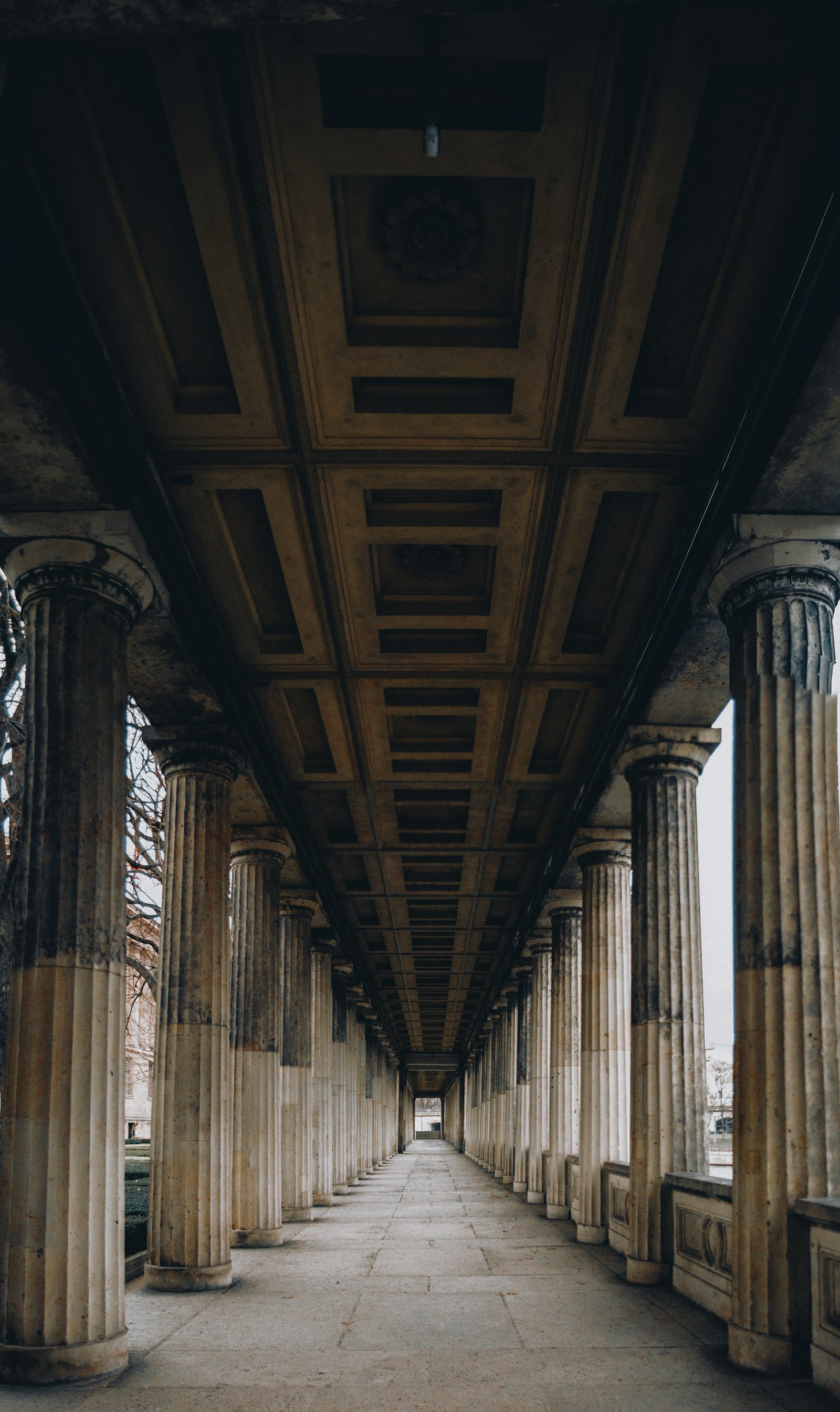 A columned hallway, licensed probate services