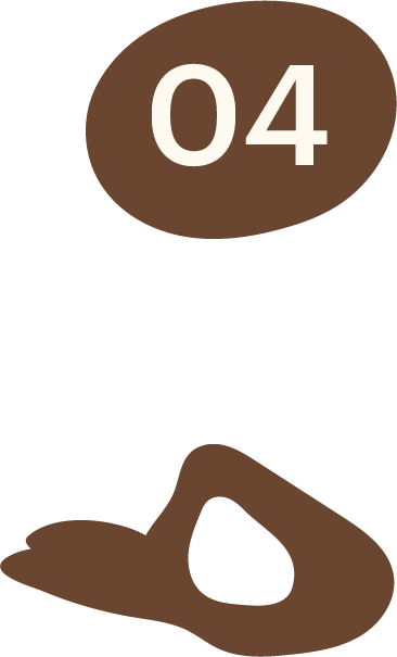 icon 4