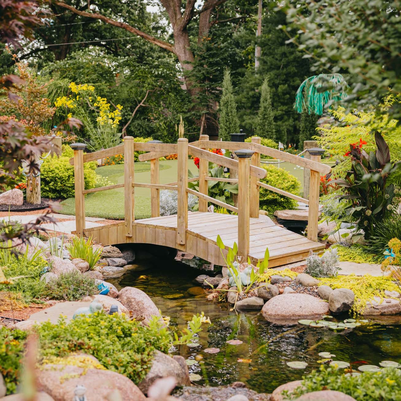 Wooden bridge over garden pond surrounded by lush plants and colorful flowers in suburban Chicago.