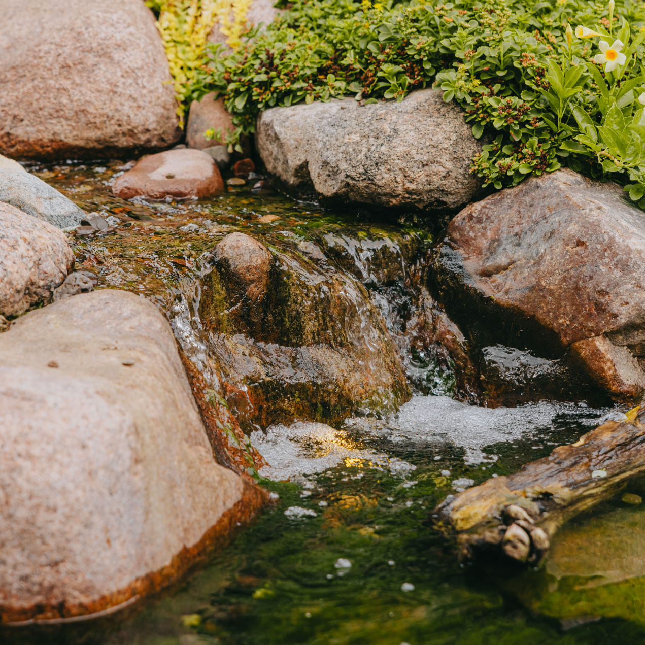 Small backyard waterfall feature with rocks and greenery in a Chicago suburban landscape.
