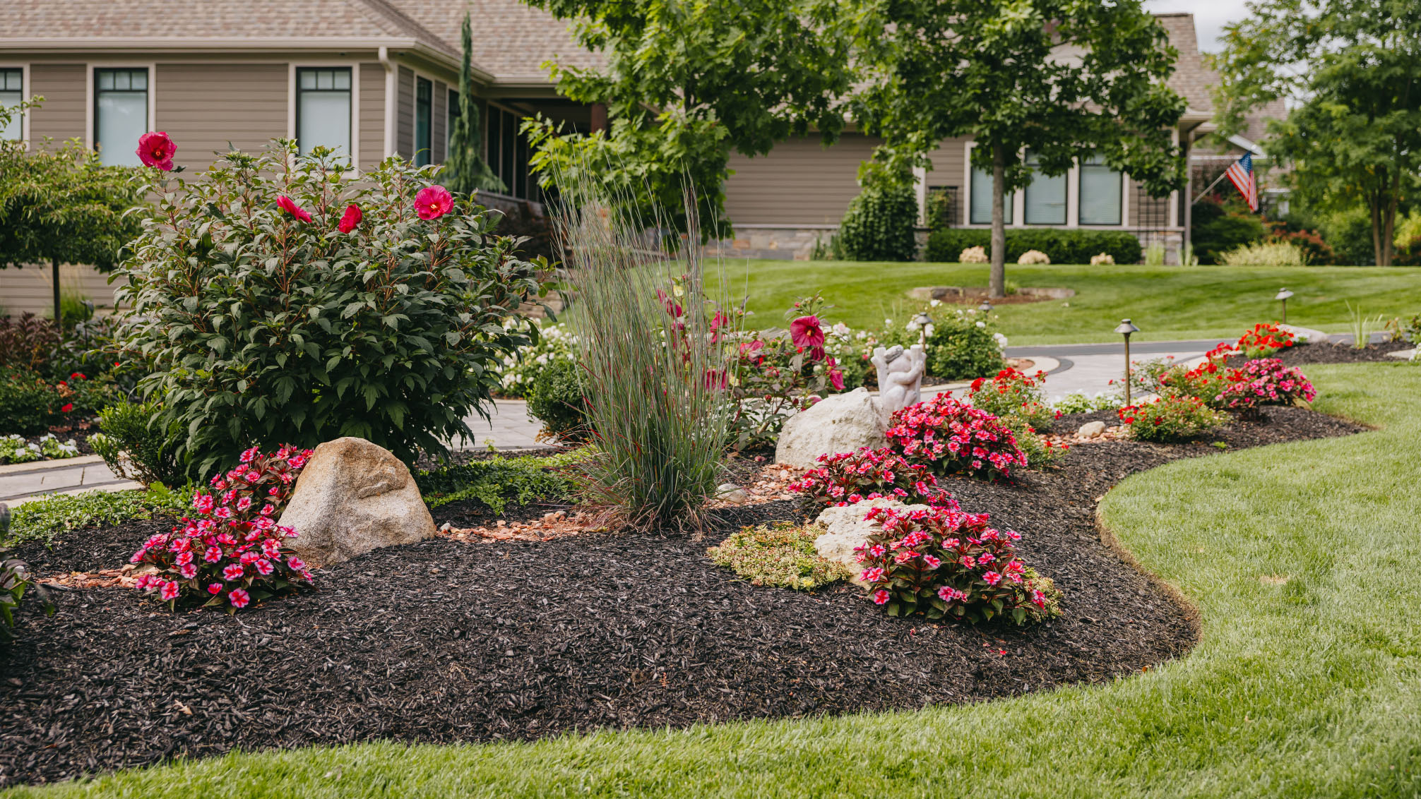 Curved front yard flower bed with red hibiscus and pink impatiens surrounded by mulch