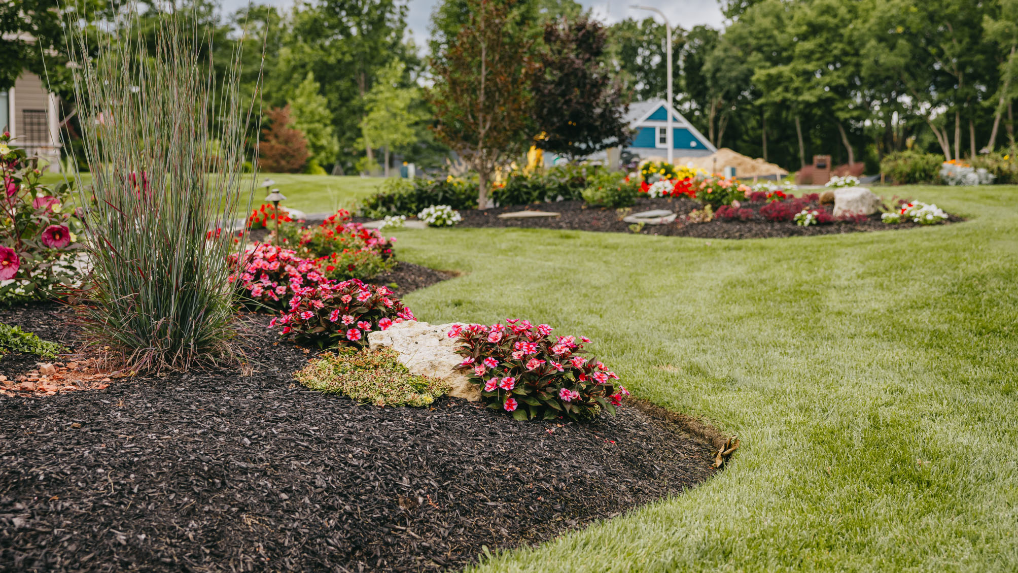 Curved landscape design with vibrant flower beds and lush green grass