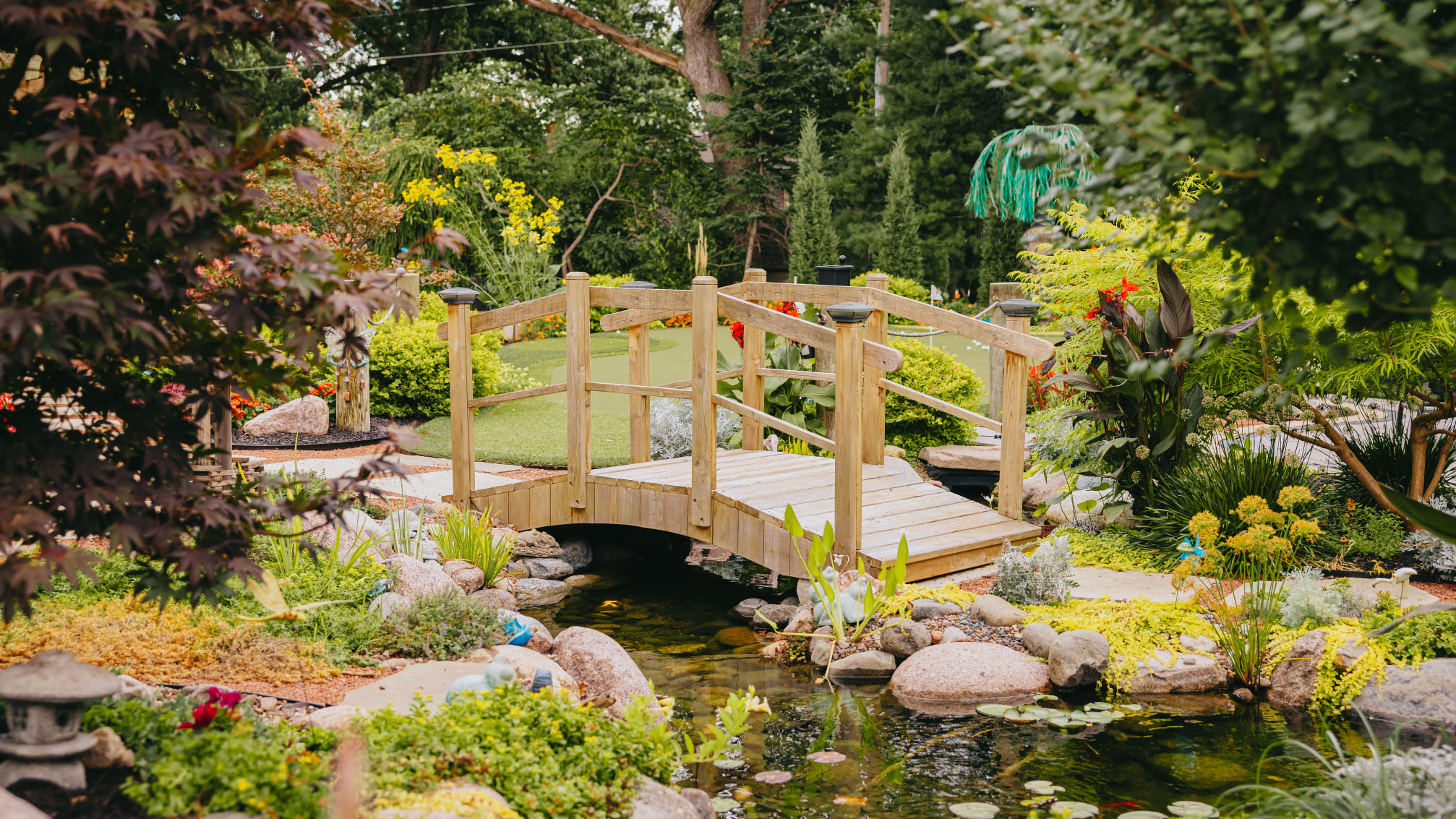 Wooden bridge over koi pond surrounded by greenery and colorful flowers in backyard