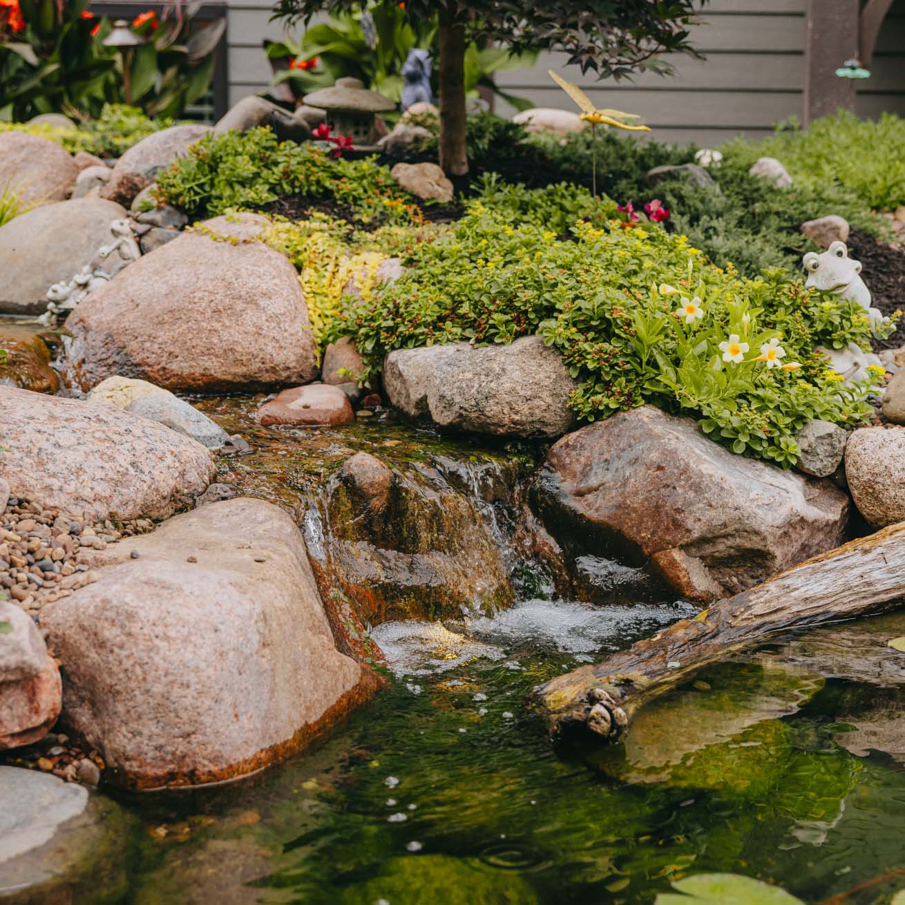 Backyard pond with small cascading waterfall, decorative rocks, and flowering plants