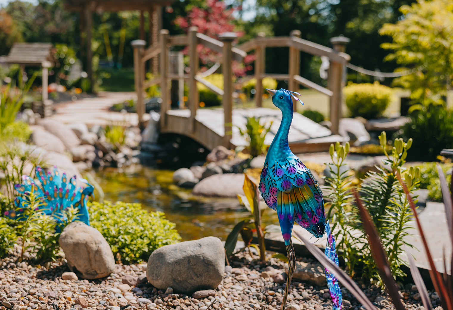 Colorful metal peacock sculptures near a small stone-covered garden pond with a wooden bridge.