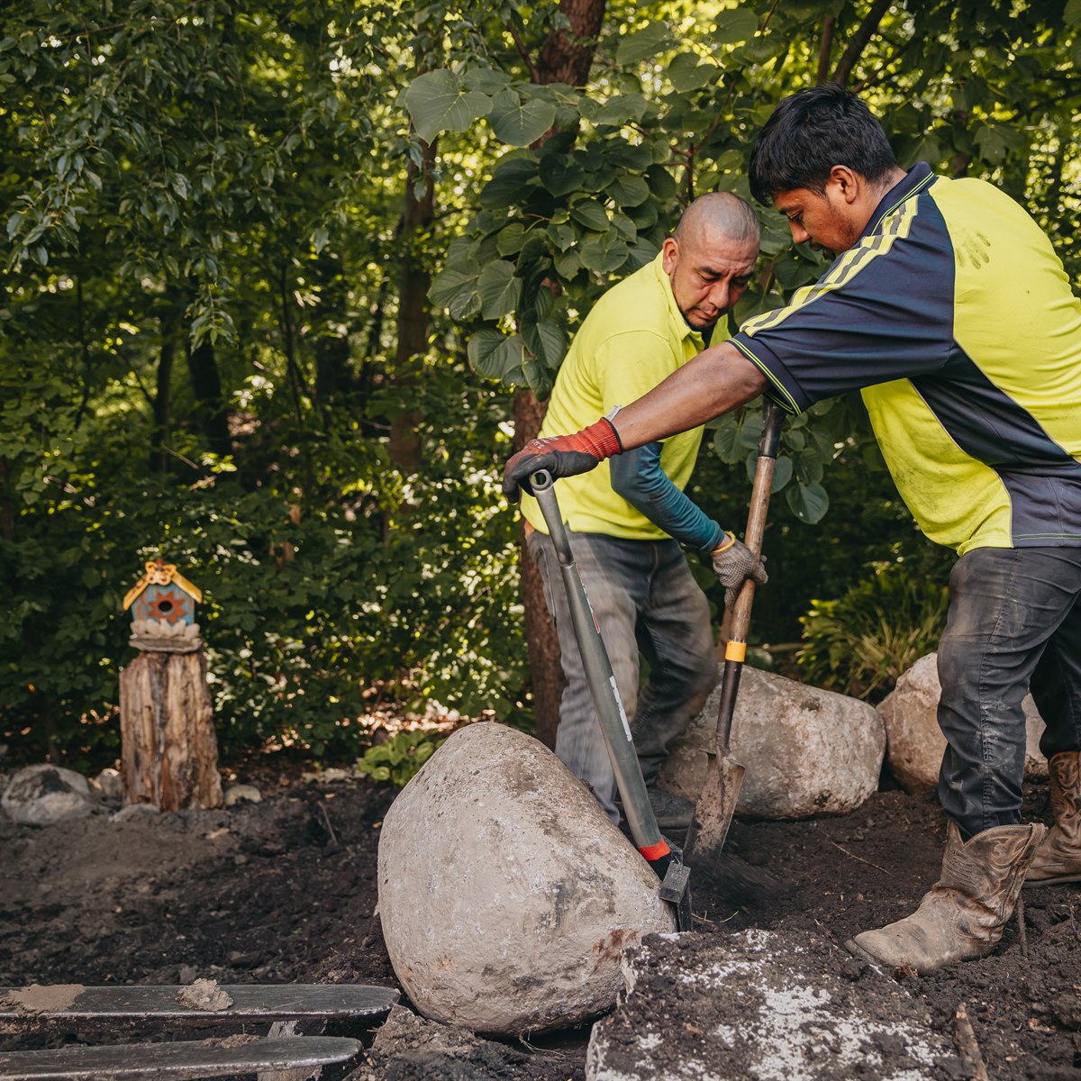 Two men in yellow shirts using shovels to dig or move soil around large rocks in a wooded outdoor area.