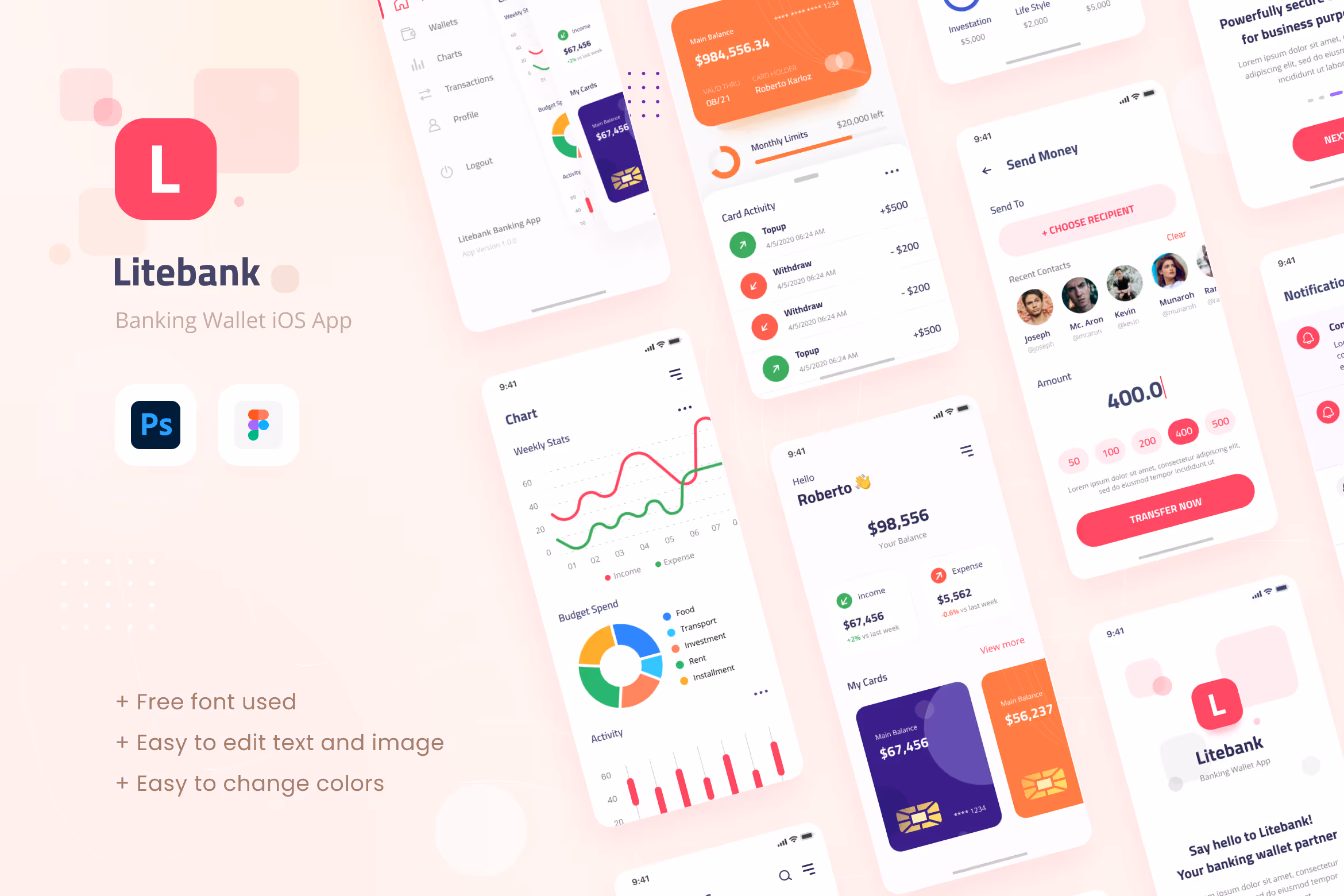 Litebank – Banking Wallet iOS App UI