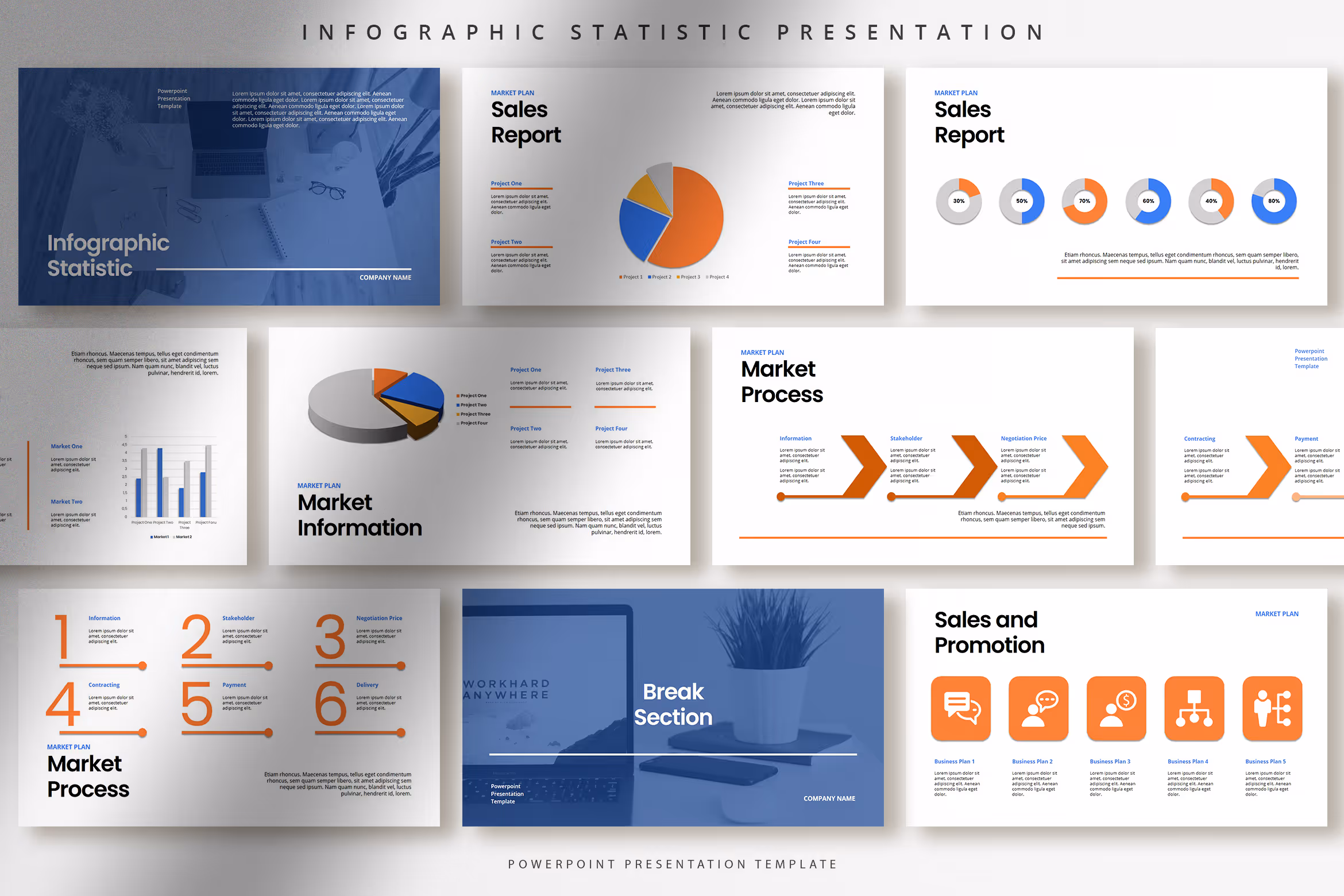 Professional Infographic Statistic Presentation