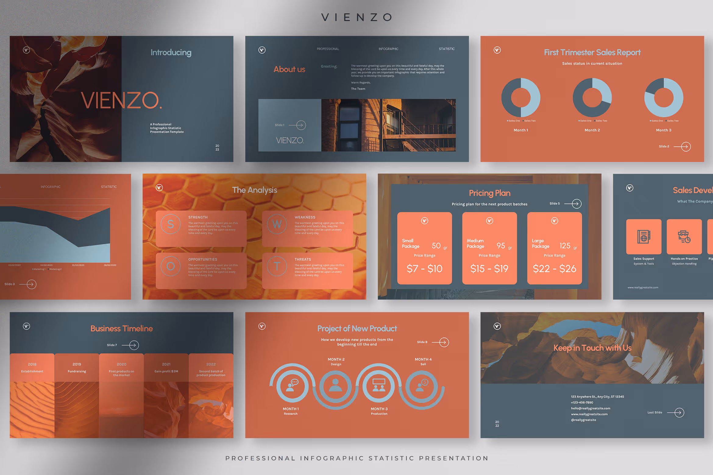 Vienzo – Professional Infographic Statistic 