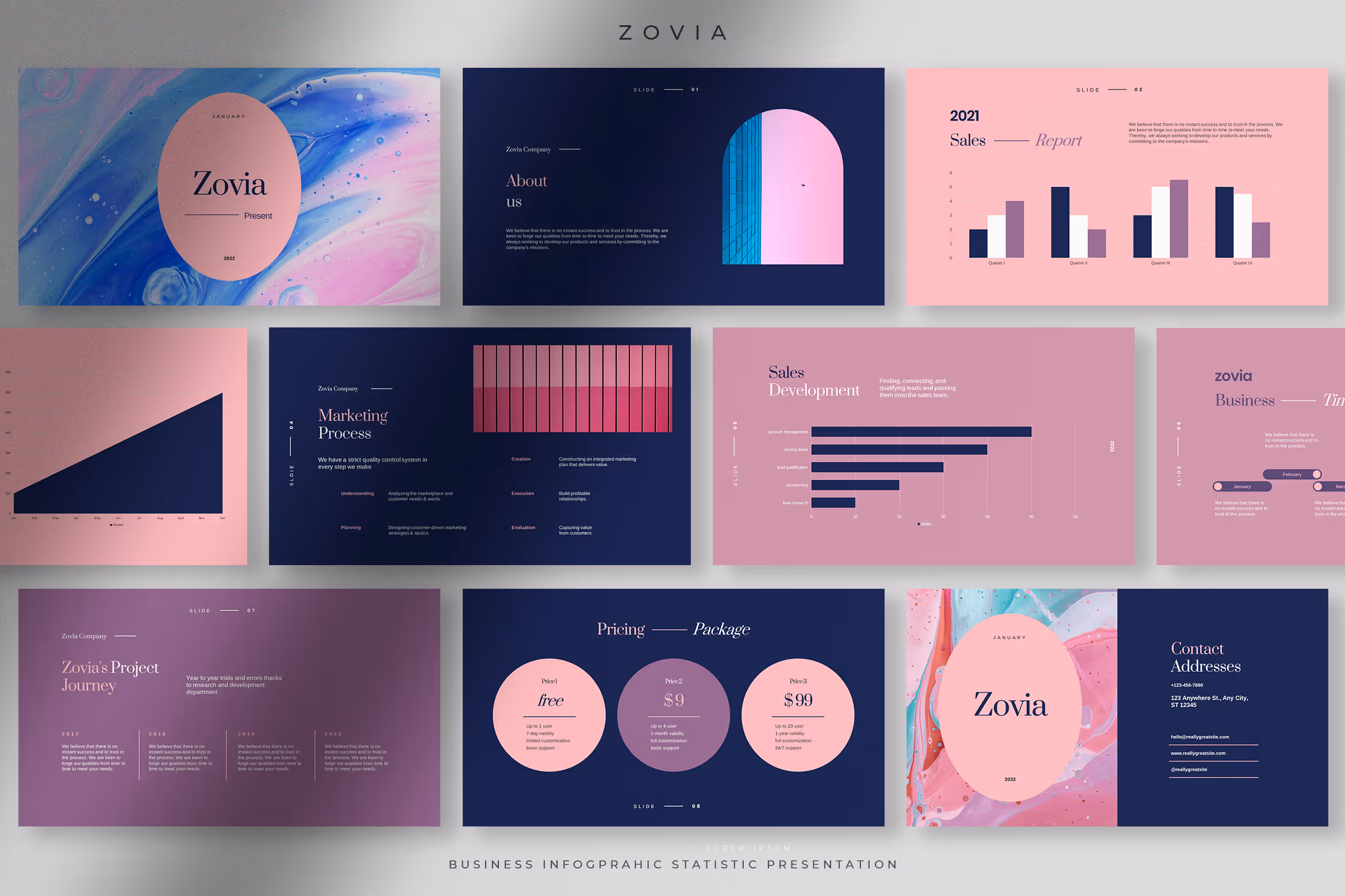 Zovia – Starlight Professional Infographic Statistics