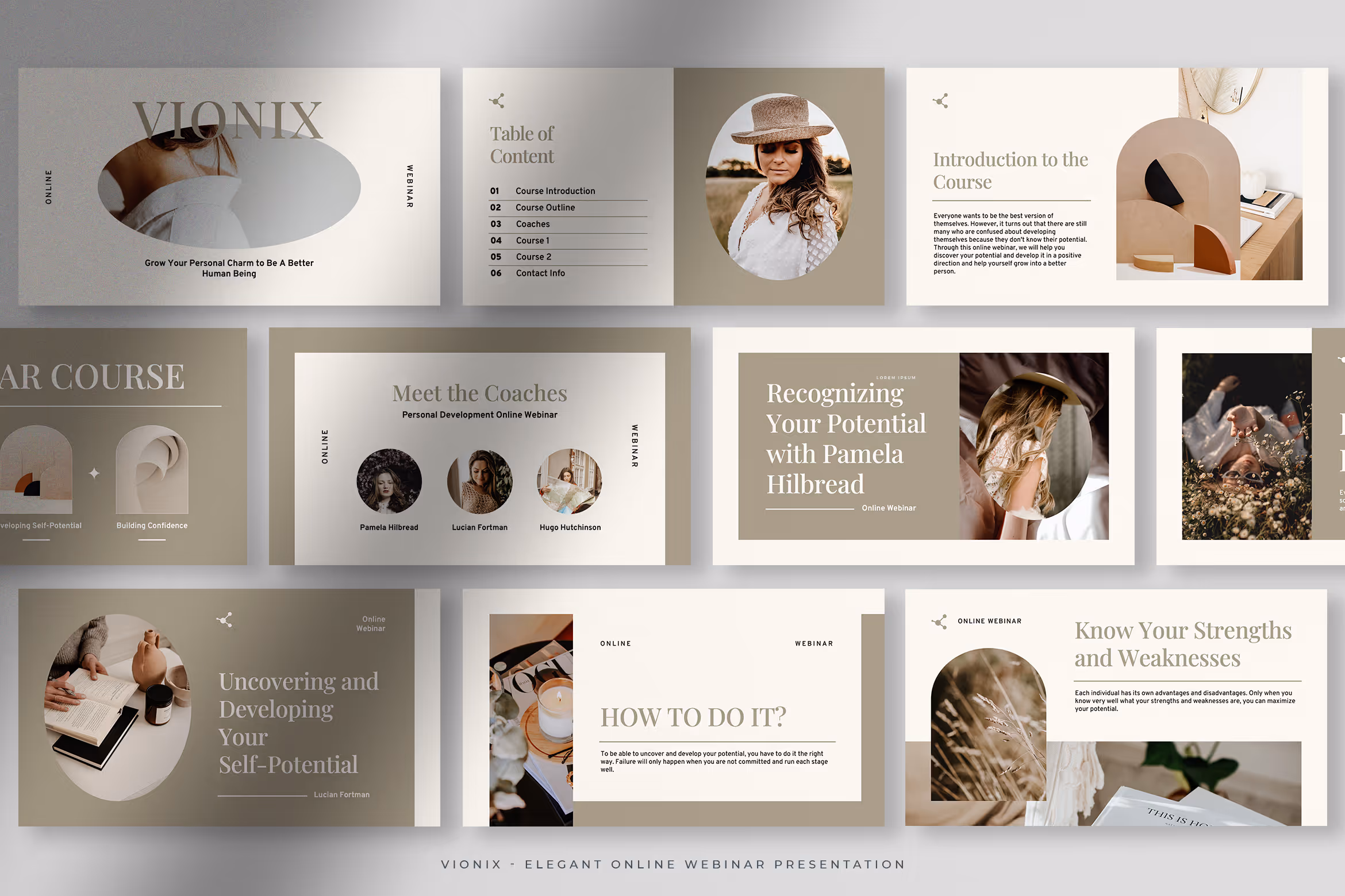 Vionix – Earthy Tone Elegant Online Webinar 