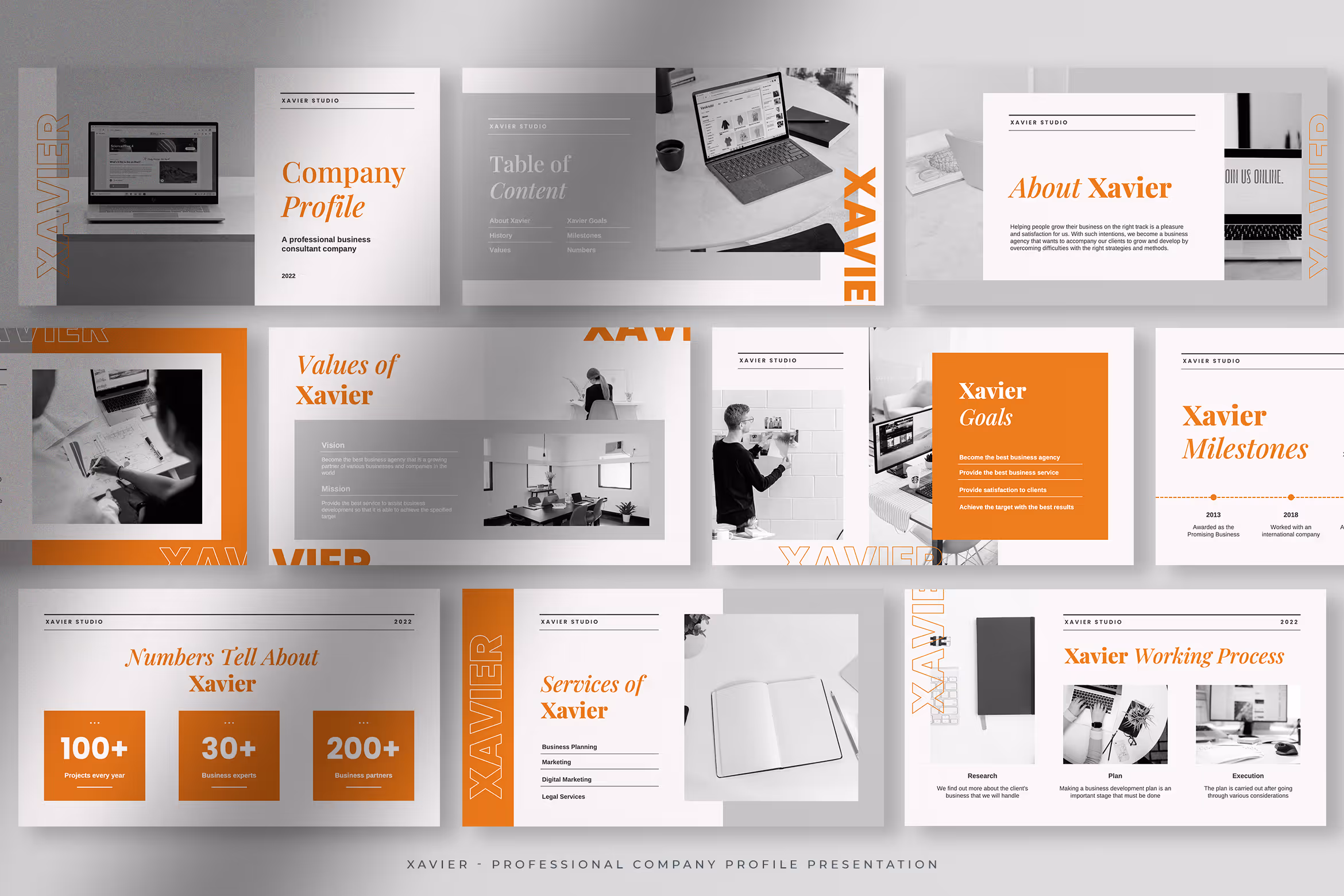 Xavier – Sunkist Orange Professional Company Profile 