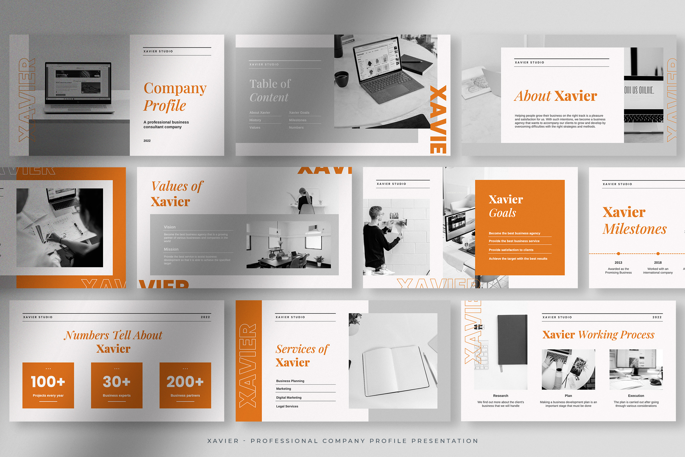 Xavier – Sunkist Orange Professional Company Profile 