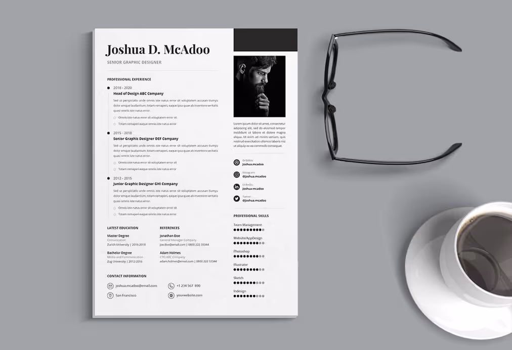 professional CV resume 26