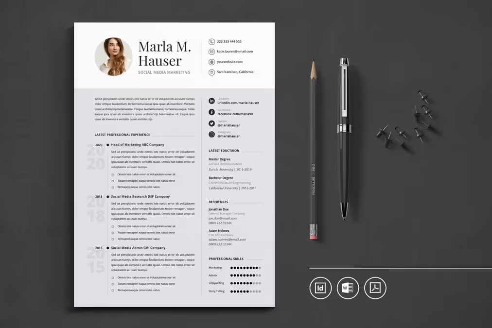 professional CV resume 17