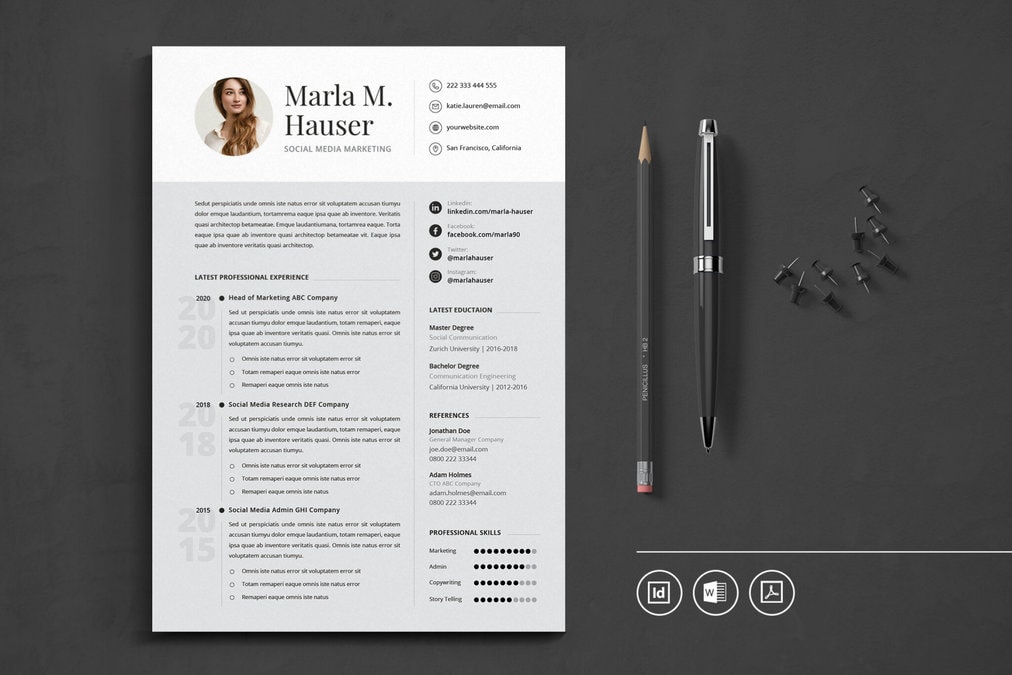 professional CV resume 17